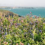 Have a Beautiful Weekend.