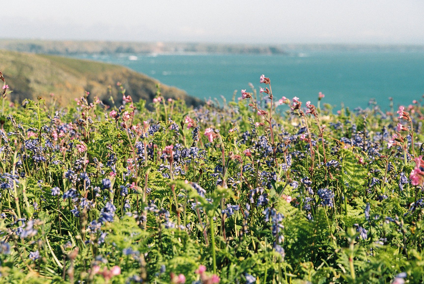 Have a Beautiful Weekend.